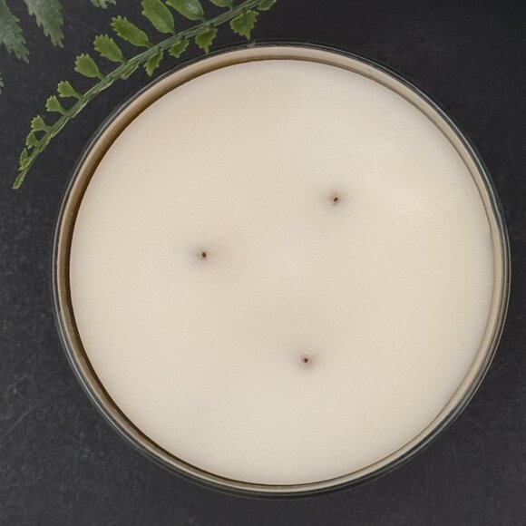 BBW Lavender & Pine Bath & Body Works 3 Wick Candle - Picture 7 of 10